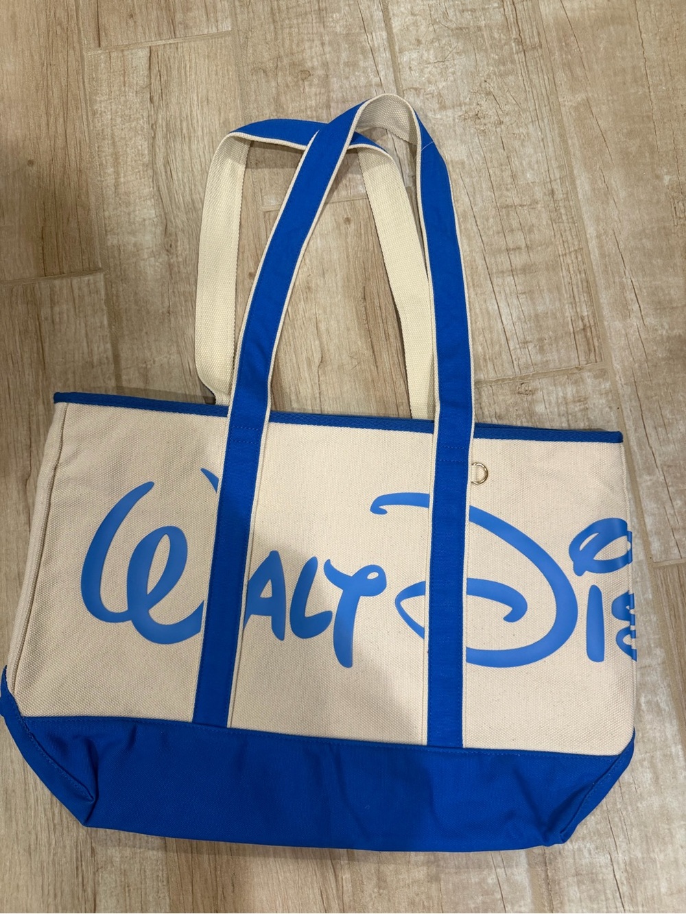 Disney wdw last day blues Blue & Cream Canvas Tote Bag
